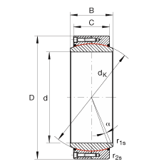 大的關節(jié)軸承 GE560-DW-2RS2, 根據(jù) DIN ISO 12 240-1 標準, 免維護，兩側密封