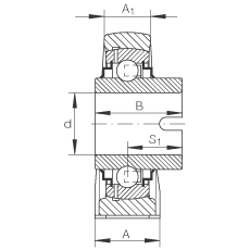 直立式軸承座單元 RASEL50-N, 鑄鐵軸承座，浮動軸承，內(nèi)圈有驅(qū)動槽，R 型密封